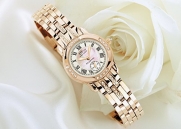 Daniel Steiger Eternal Diamond Ladies' Watch